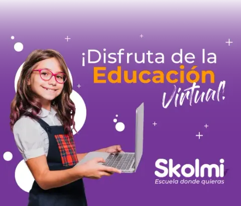 Logo de Skolmi